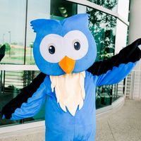 Gallery Photo of Our Mascot, Owlbert
