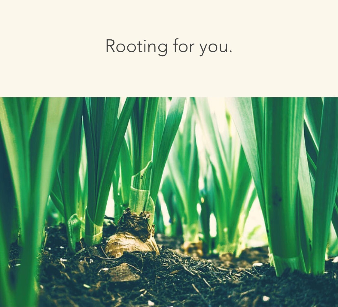 Rooted Counseling LLC, Psychologist, Wilmington, DE, 19809 Psychology