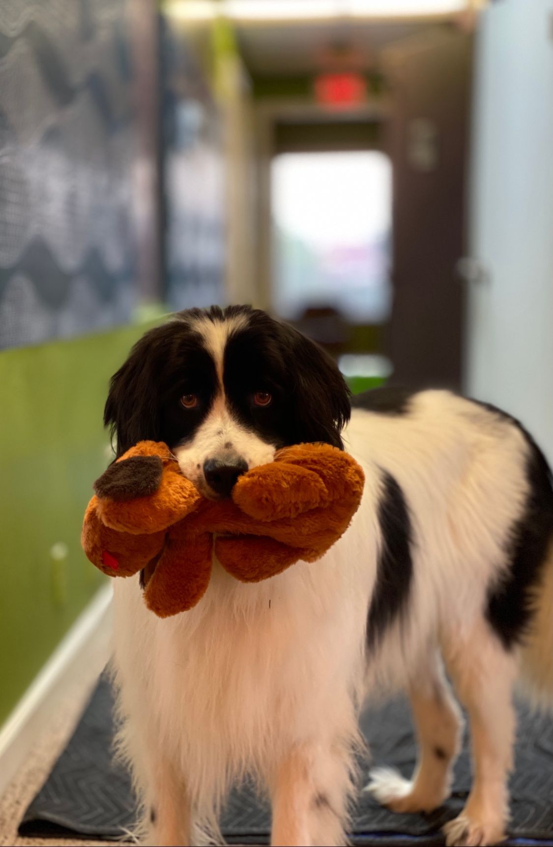 Dr. Pamela Kaczmarek Licensed Clinical Psychologist, AS, BA, MA, LPC