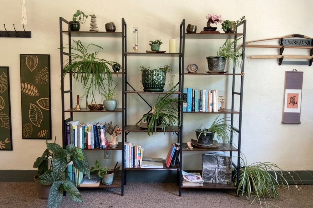 My zen-inspired office space is in the background on video calls. 