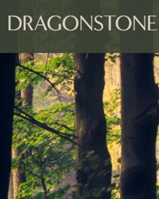 Photo of Dragonstone Counselling, Counsellor in Vancouver, BC