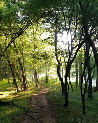 Photo of Juliana Keen - Holding Space for Change, Clinical Social Work/Therapist, LICSW
