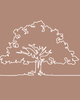 Photo of Newbury Counseling & Consulting, Group Practice