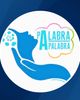 Palabra A Palabra
