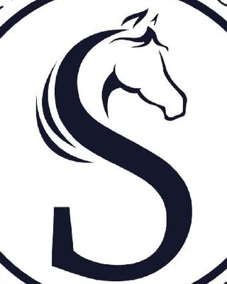 Photo of Leslie Sherlin - Sherlin Consulting Group, PhD, MAC, LPC