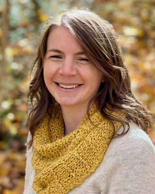Photo of Allison Hansen, MSW, LCSW, LICSW, PMH-C, Clinical Social Work/Therapist