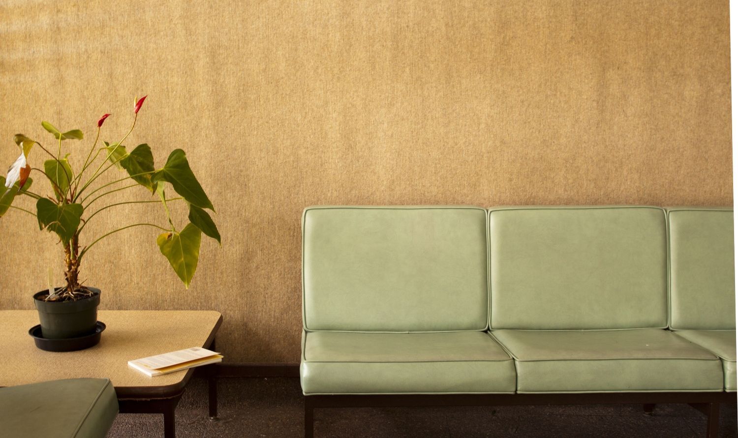 MEPS Centered Psychological & Evaluation Services, Psychologist