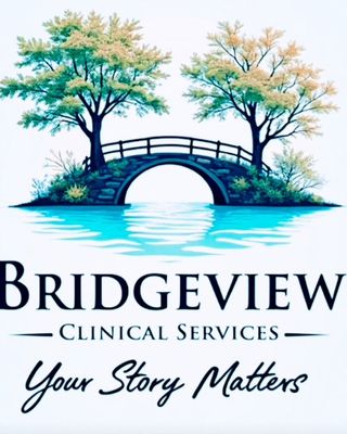 Photo of Dr. Eiliana Silva - Bridgeview Clinical Services, Licensed Professional Counselor, EdD , LCPC, NCC