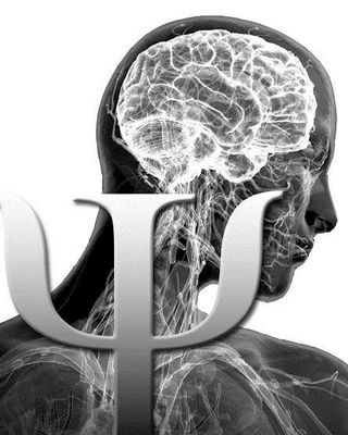 Photo of Robert L Villanella - Neuropsychologic Associates, PLLC, Psychologist, PhD, DABP, FAPA