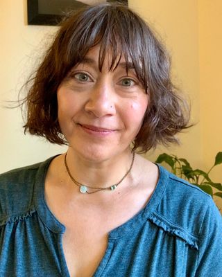 Photo of Felicia Leeann Rock, Clinical Social Work/Therapist, MSW, LICSW