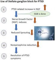 Gallery Photo of One proposed mechanism of SGB effects on PTSD. http://bit.ly/2rJtJFo