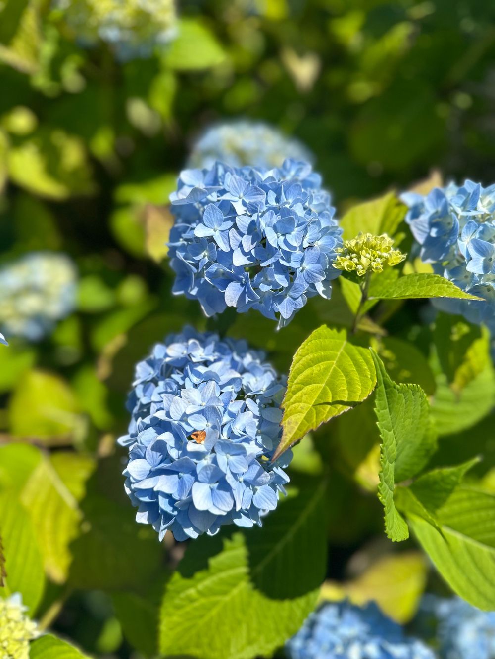 Virtual therapy rooted in connection, clarity, and growth. 