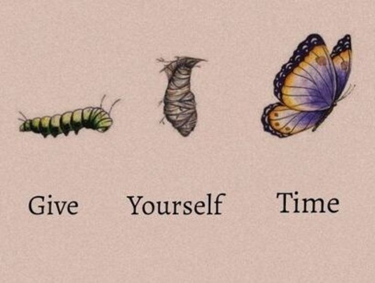 Metamorphosis is possible 