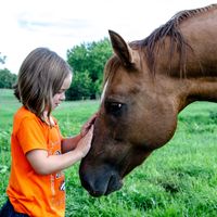 Gallery Photo of Equine Assisted Learning and Therapy