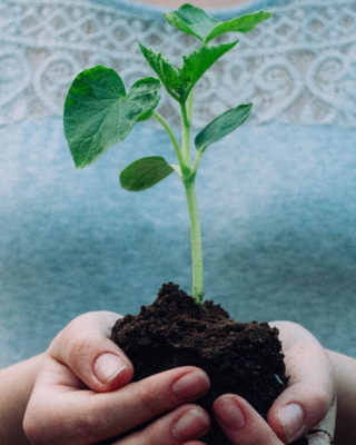 Photo of Amanda Whitehurst - EMDR Care Center, Clinical Social Work/Therapist, LICSW, SEP