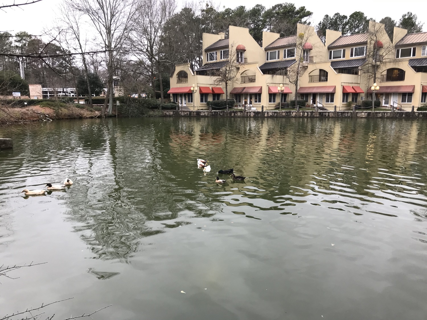 Judy Cantwell, Licensed Professional Counselor, Sandy Springs, GA