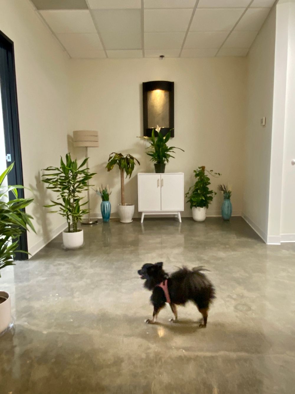 Echo Park Waiting Room
