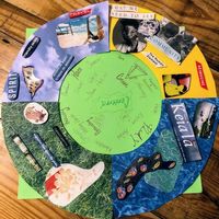 Gallery Photo of Wellness Wheel - collage 