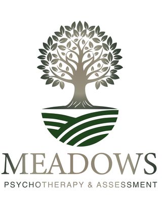 Photo of Axel Bolaños - Meadows Psychotherapy & Assessment, Licensed Professional Counselor, LPC