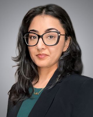 Photo of Khalida Sethi, Clinical Social Work/Therapist in McDonald, PA