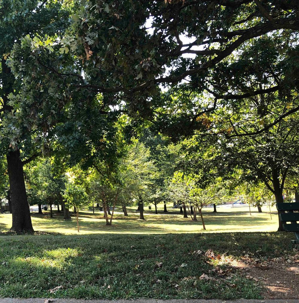 Outdoor office space when you want to meet in person when the weather is nice 