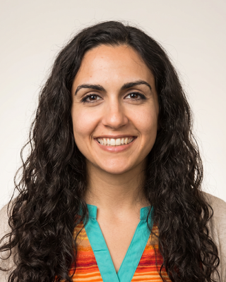 Photo of Sarah Amini, Clinical Social Work/Therapist, LCSW