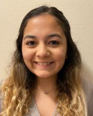 Photo of Rebeca Salazar, Licensed Professional Counselor in Houston, TX