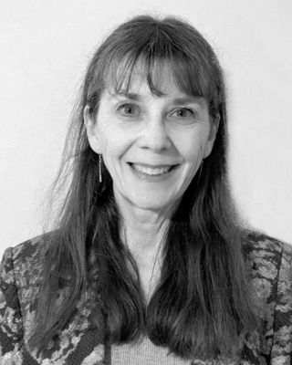 Photo of Melissa D. Fein, Clinical Social Work/Therapist, LICSW