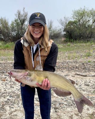 Photo of Lea Kathryn Williams, Counselor in Boise, ID