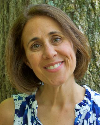 Photo of Deb Hurowitz, Clinical Social Work/Therapist, MSW, LICSW