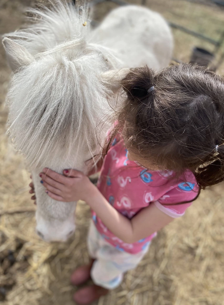 Hooves of Hope Ranch, Psychologist, Millet, AB, T0C Psychology Today