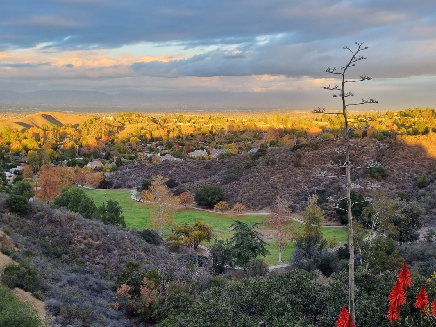 Gallery Photo of View of our direct service area, the beautiful San Fernando Valley!
