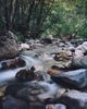 StonyCreek Psychotherapy and Wellness, LLC