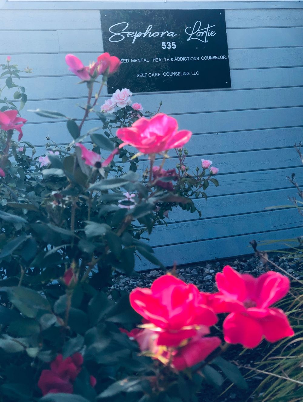 Welcome to Self Care Counseling in Fort Wayne. Look for our office sign near the rose bush outside the building.