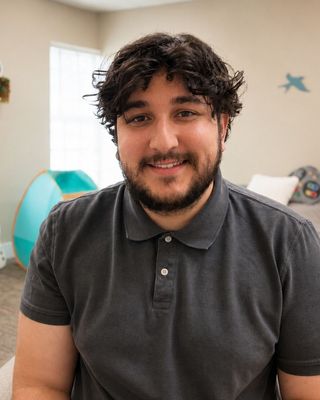 Photo of Ron Peretz, Clinical Social Work/Therapist, LCSW, LMSW