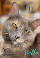 Gallery Photo of Vaille, our therapy assistant in training.  (Name pronounced like veil.)