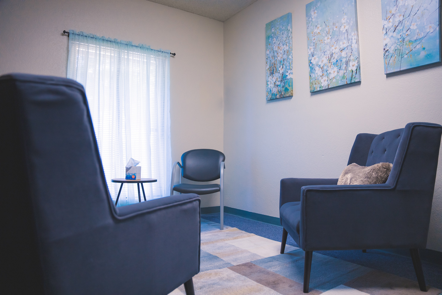 Toribio Psychological Services, Psychologist, Fresno, CA, 93711