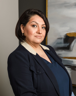 Photo of Narges Maududi, Clinical Social Work/Therapist, LCSW