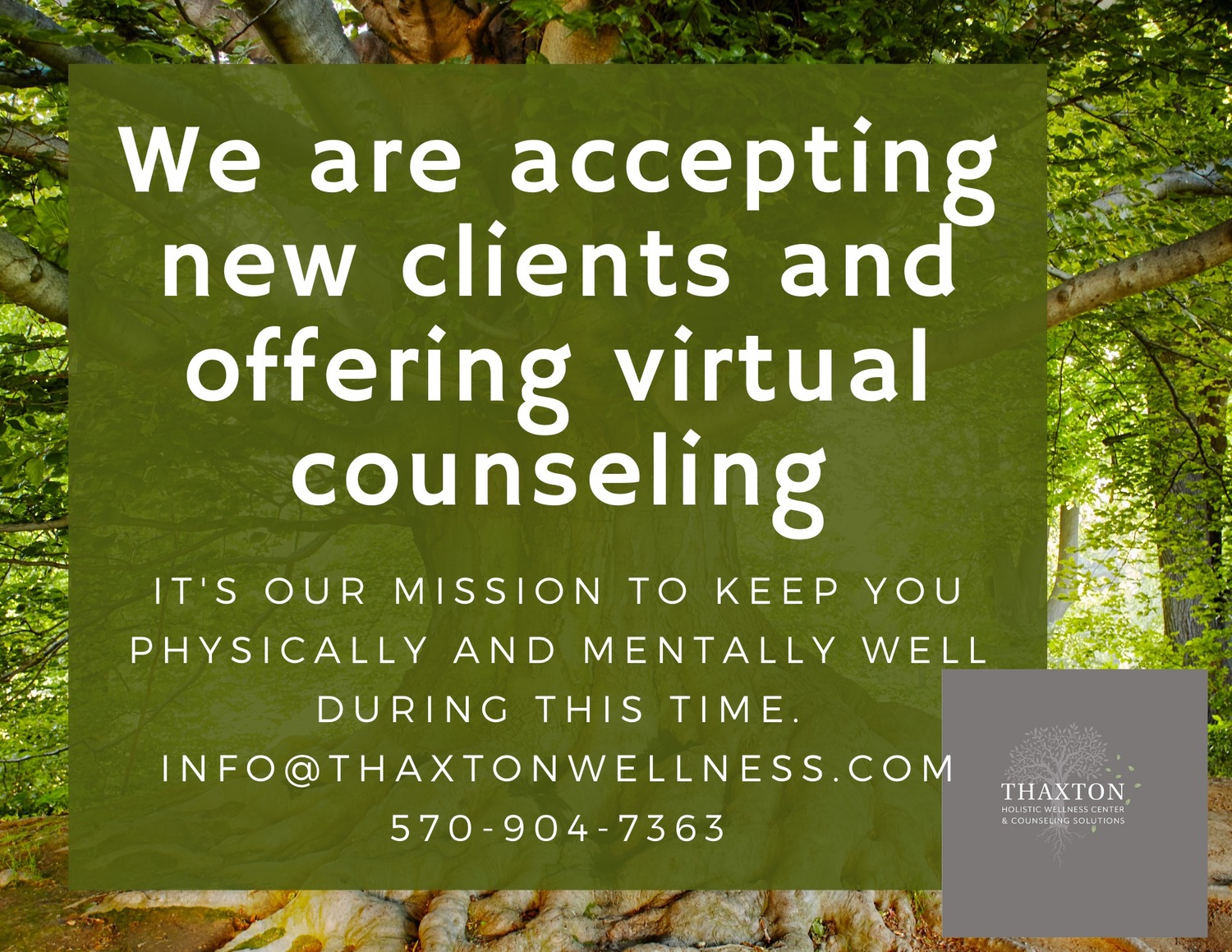 Thaxton Holistic Wellness Center, Licensed Professional Counselor