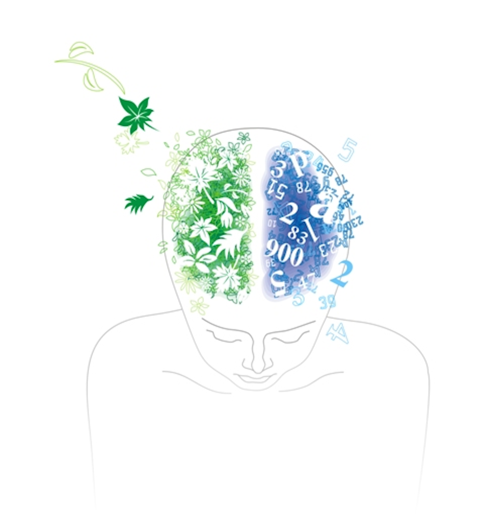 bilateral stimulation is used to process and transmute traumatic events into creative discovery