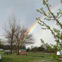 Gallery Photo of Over the rainbow ...