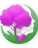 Access Mental Health Services PLLC