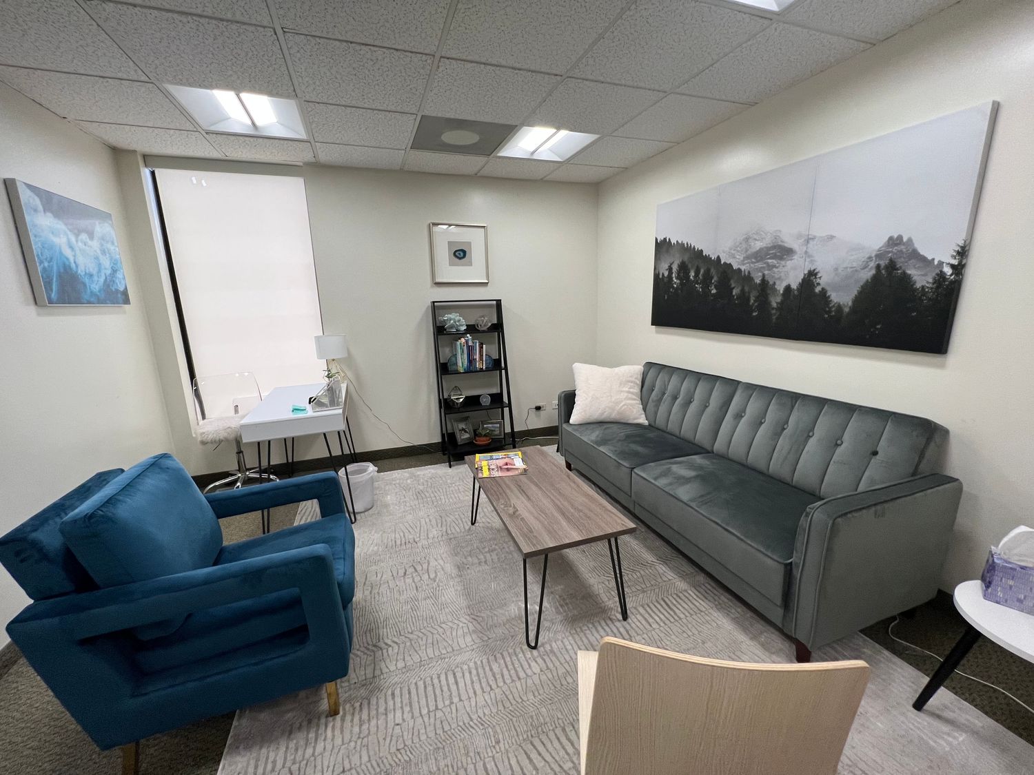 Wellcova Health Services, Psychiatrist, Denver, CO, 80206 Psychology