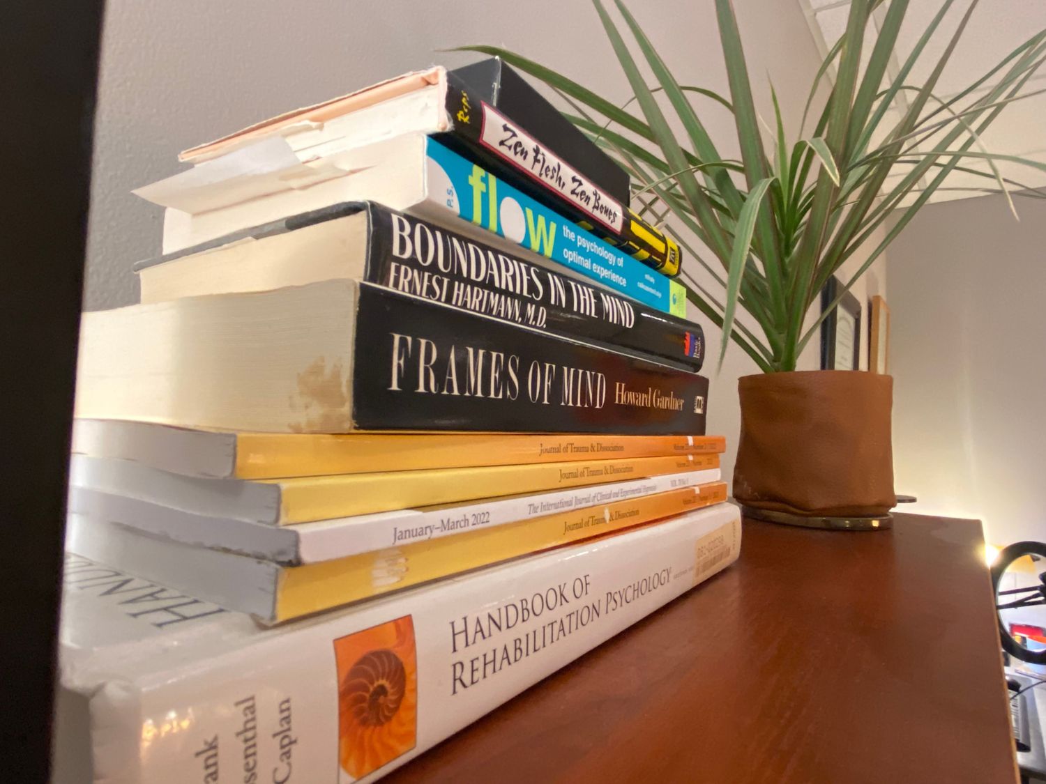 Chicago Psychology Services, Psychologist, Chicago, IL, 60601