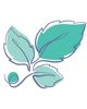Mintleaf Psychology Clinic