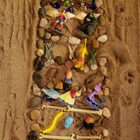 Gallery Photo of Poly Vagal Ladder in sand 