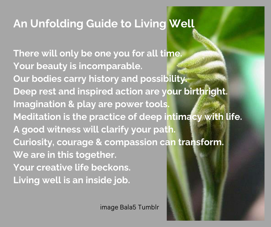 My unfolding guide to living well