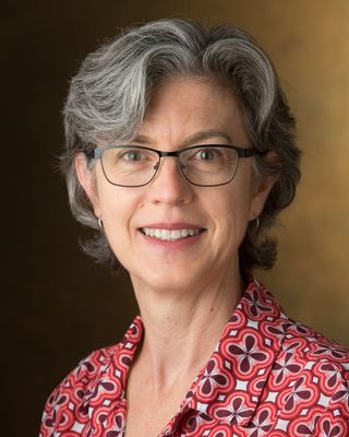 Photo of Jill Schreiber, LCSW, PhD, Clinical Social Work/Therapist