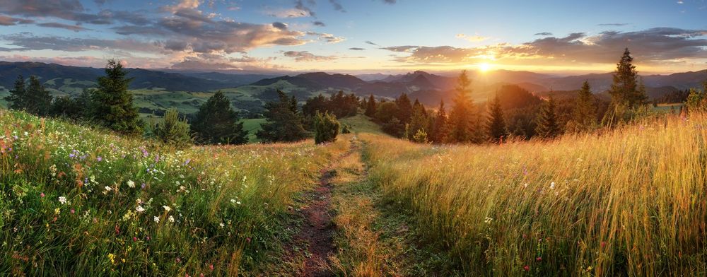 Online Psychotherapy in Ontario