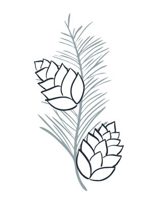 Photo of Tiernee Schatz - Blue Pines Counseling, ATR-BC, LPC, NCC, CCTP